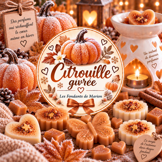 Citrouille givrés